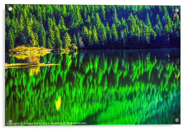 Hikers Green Yellow Abstract Gold Lake Snoqualme Pass Washington Acrylic by William Perry