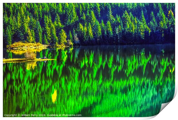 Hikers Green Yellow Abstract Gold Lake Snoqualme Pass Washington Print by William Perry