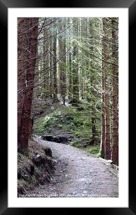 Woodland path Framed Mounted Print by John Biggadike