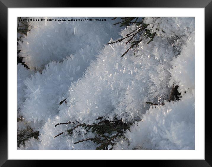 Snow crystals Framed Mounted Print by Gordon Dimmer