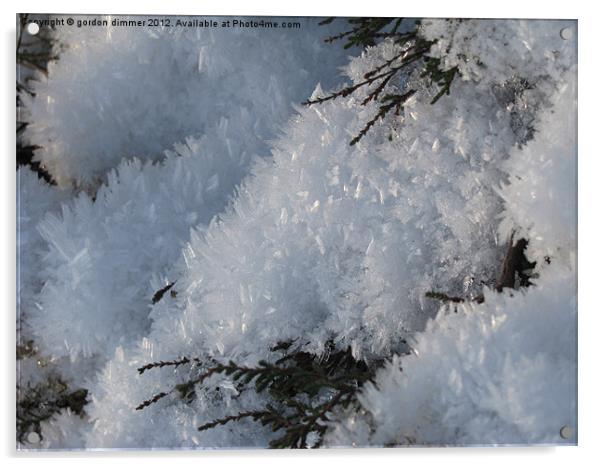 Snow crystals Acrylic by Gordon Dimmer