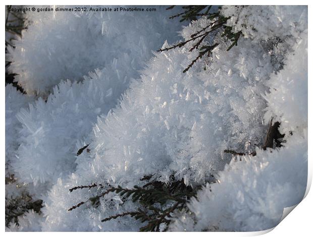 Snow crystals Print by Gordon Dimmer