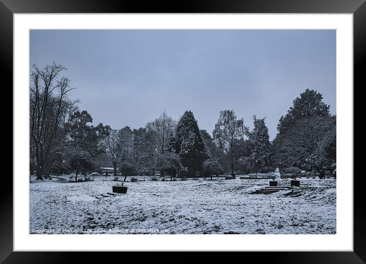 A snow covered forest Framed Mounted Print by Man And Life