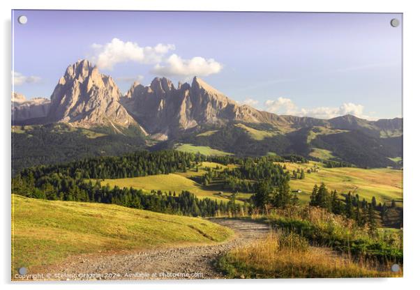 Seiser Alm, Sassolungo mountain and a pathway. Dolomites, Italy Acrylic by Stefano Orazzini