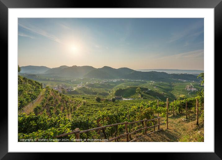 Prosecco Hills, vineyards panorama in the morning. Italy Framed Mounted Print by Stefano Orazzini