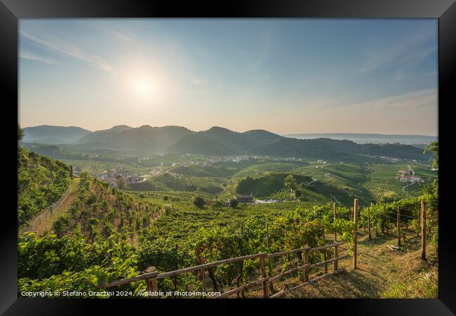 Prosecco Hills, vineyards panorama in the morning. Italy Framed Print by Stefano Orazzini