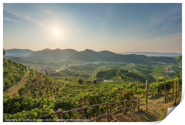 Prosecco Hills, vineyards panorama in the morning. Italy Print by Stefano Orazzini