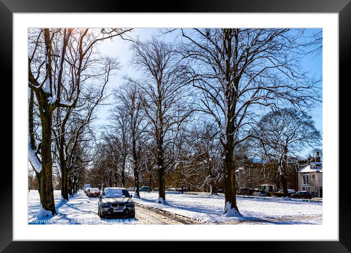 Plant tree Framed Mounted Print by Man And Life