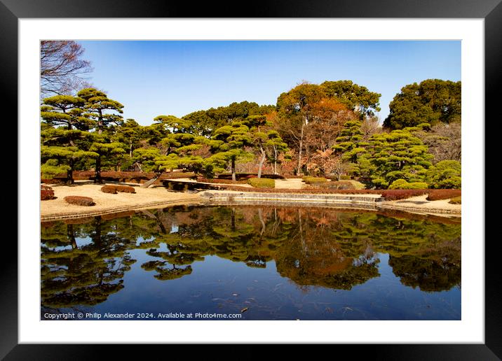 Reflections Framed Mounted Print by Philip Alexander