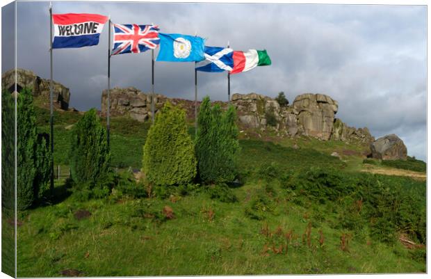 Ilkley Moor Cow Calf and Flags Canvas Print by Alison Chambers