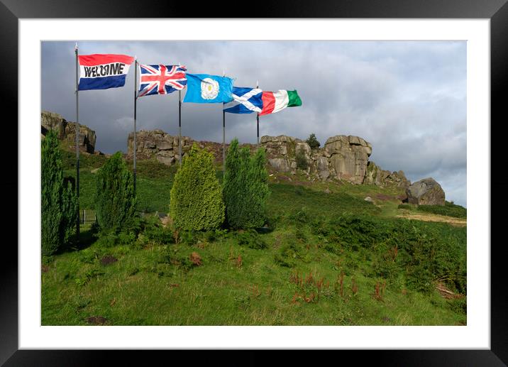 Ilkley Moor Cow Calf and Flags Framed Mounted Print by Alison Chambers