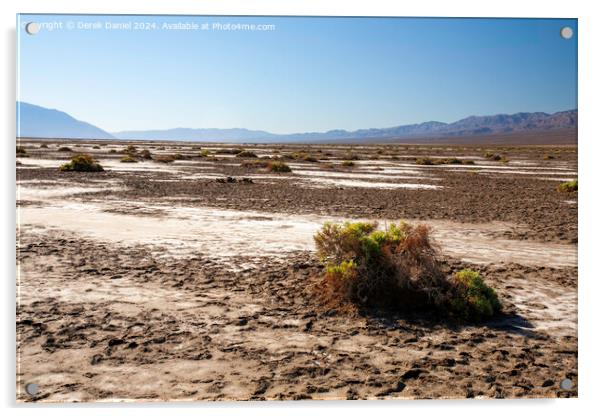 The barren landscape of Death Valley Acrylic by Derek Daniel