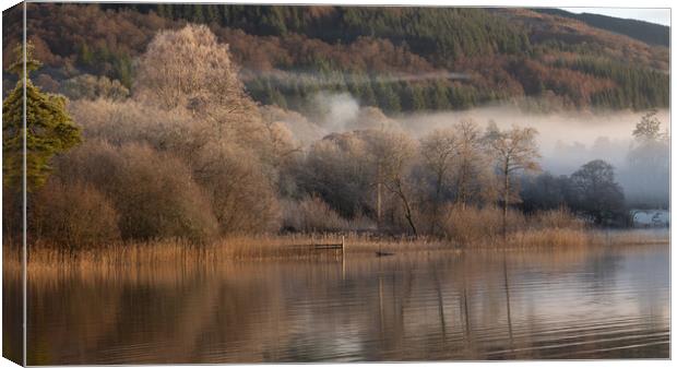Loch Ard trees in the Mist Canvas Print by Colin Kerr