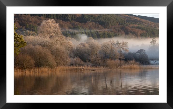 Loch Ard trees in the Mist Framed Mounted Print by Colin Kerr