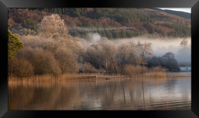 Loch Ard trees in the Mist Framed Print by Colin Kerr