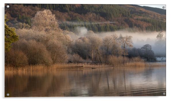 Loch Ard trees in the Mist Acrylic by Colin Kerr