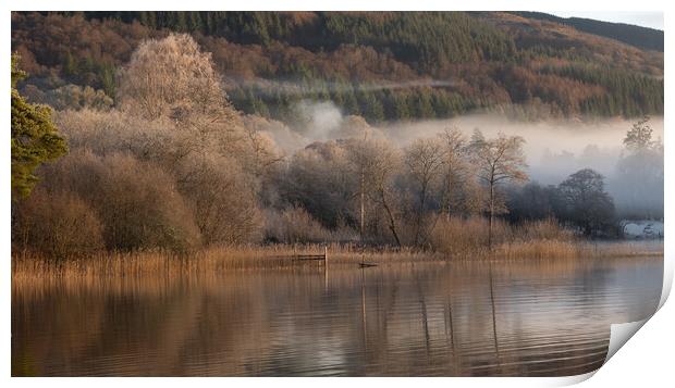 Loch Ard trees in the Mist Print by Colin Kerr