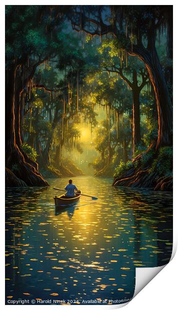 Canoeing in the Bayou Print by Harold Ninek