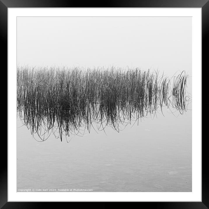 The reeds Framed Mounted Print by Colin Kerr
