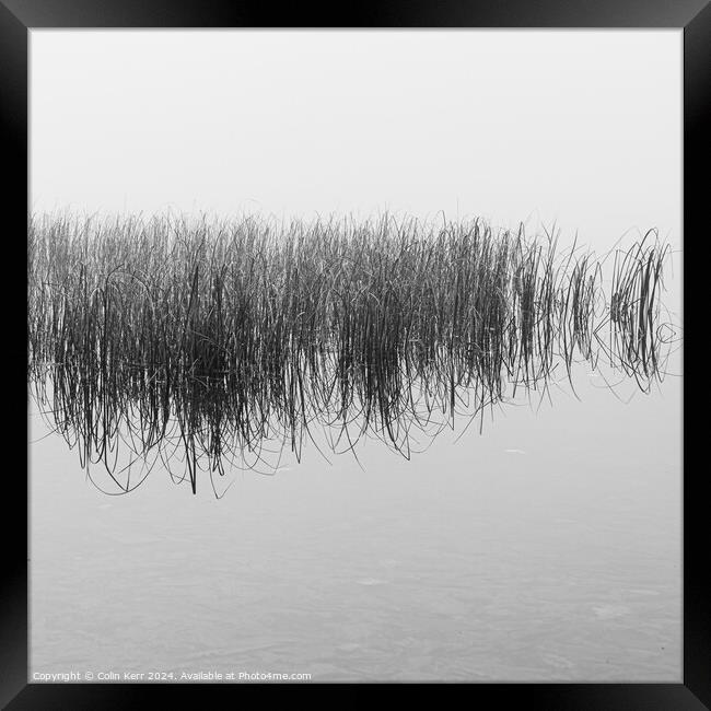 The reeds Framed Print by Colin Kerr
