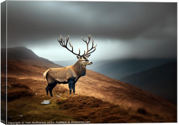 Majestic Stag Canvas Print by Tom McPherson