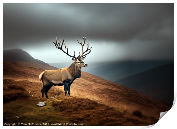 Majestic Stag Print by Tom McPherson