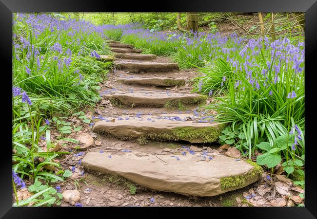 Bluebell Steps North Yorkshire Framed Print by T2 