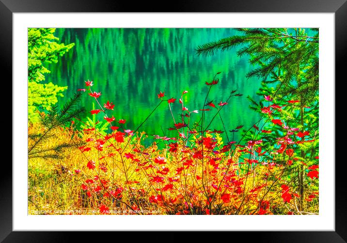Red Maple Leaves Green Yellow Gold Lake Washington Framed Mounted Print by William Perry