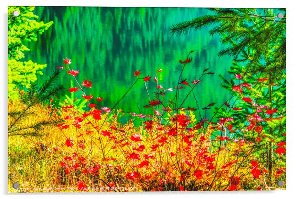 Red Maple Leaves Green Yellow Gold Lake Washington Acrylic by William Perry