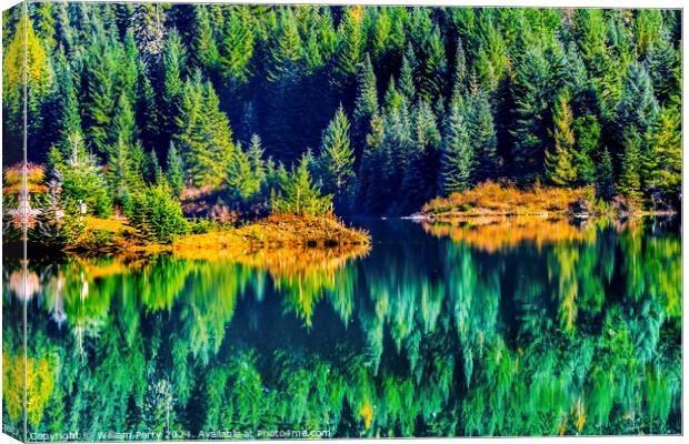Green Yellow Water Reflection Gold Lake Washington Canvas Print by William Perry