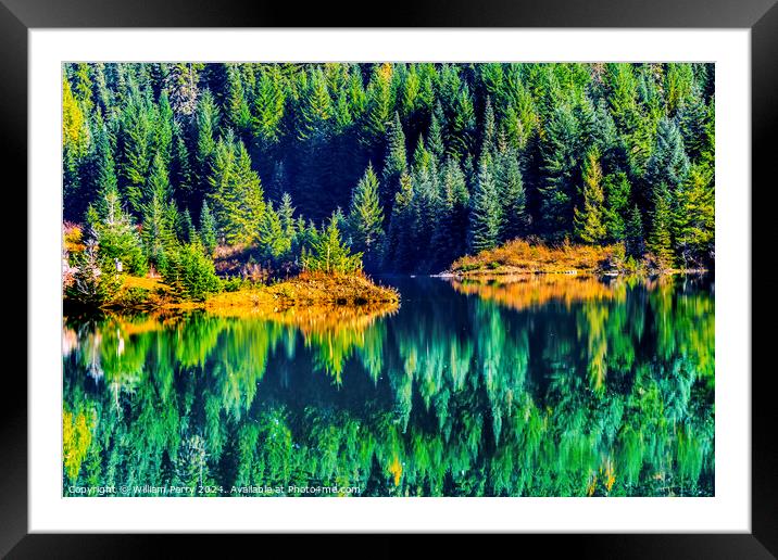 Green Yellow Water Reflection Gold Lake Washington Framed Mounted Print by William Perry