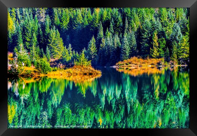 Green Yellow Water Reflection Gold Lake Washington Framed Print by William Perry