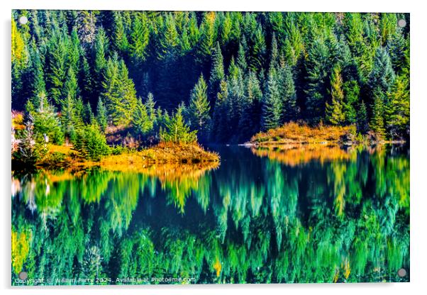 Green Yellow Water Reflection Gold Lake Washington Acrylic by William Perry