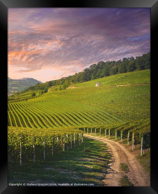 Langhe vineyards view, rural road, Barolo, Italy Framed Print by Stefano Orazzini