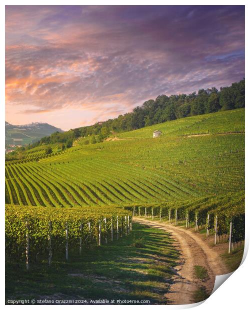 Langhe vineyards view, rural road, Barolo, Italy Print by Stefano Orazzini