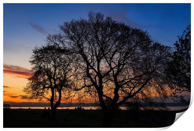 Tree Silhouette At Sunset On Calton Hill In Edinburgh Print by Artur Bogacki