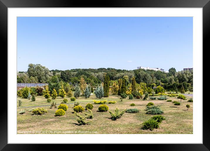 A large green field with trees in the background Framed Mounted Print by Man And Life