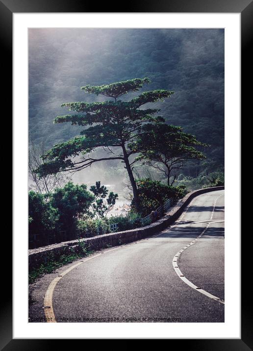 Serene Twilight Hues Over a Winding Mountain Road With a Lone Tree Framed Mounted Print by Alexandre Rotenberg