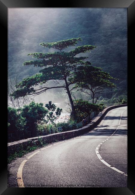 Serene Twilight Hues Over a Winding Mountain Road With a Lone Tree Framed Print by Alexandre Rotenberg