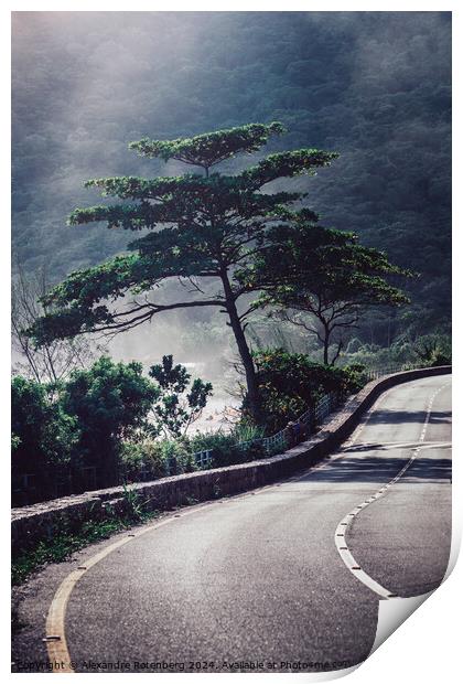 Serene Twilight Hues Over a Winding Mountain Road With a Lone Tree Print by Alexandre Rotenberg