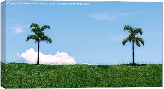 Two Solitary Palm Trees Standing on a Lush Green Hillside Against a Clear Blue Sky Canvas Print by Alexandre Rotenberg