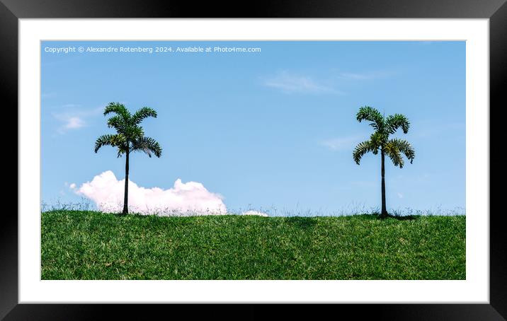 Two Solitary Palm Trees Standing on a Lush Green Hillside Against a Clear Blue Sky Framed Mounted Print by Alexandre Rotenberg