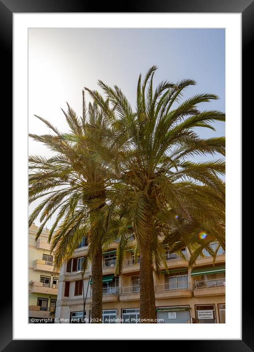 Plant tree Framed Mounted Print by Man And Life