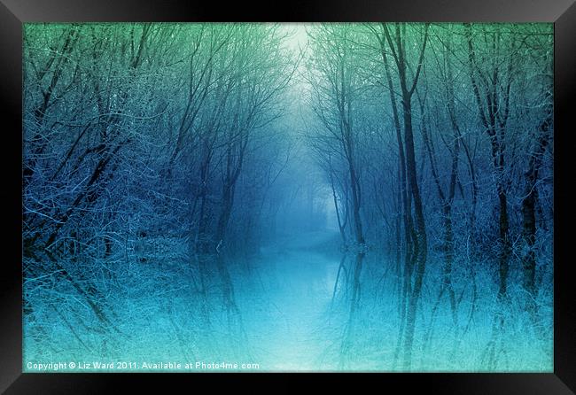 Moonlight Misty Pool Framed Print by Liz Ward