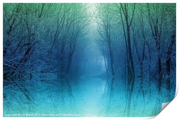 Moonlight Misty Pool Print by Liz Ward