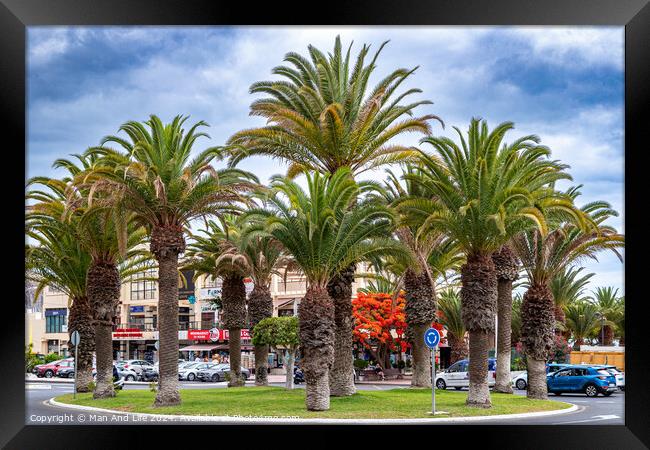 Plant tree Framed Print by Man And Life