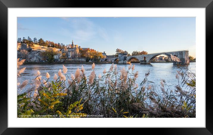 Avignon city and his famous bridge. Photography taken in France  Framed Mounted Print by Laurent Renault