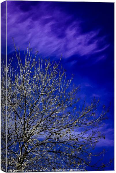 A tree with blue sky and clouds Canvas Print by Dawn Francis