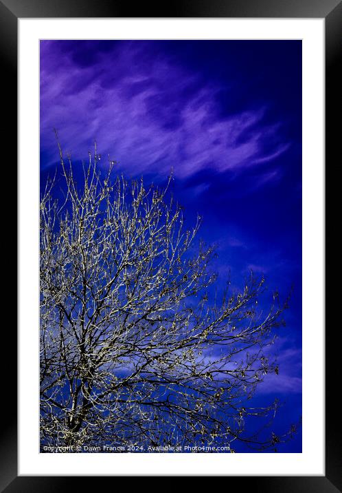 A tree with blue sky and clouds Framed Mounted Print by Dawn Francis