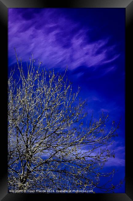 A tree with blue sky and clouds Framed Print by Dawn Francis